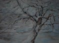 /album/galerie-de-photos-arbres/arbre-en-hiver-jpg1/
